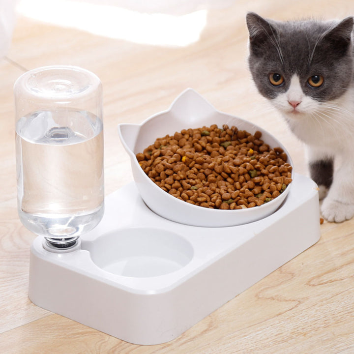 Orthopedic & Anti-Vomiting Pet Food Bowl - Pawtisfaction